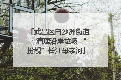 武昌区白沙洲街道：清理沿岸垃圾 “扮靓”长江母亲河