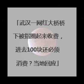 武汉一网红大桥桥下被指圈起来收费，进去100块还必须消费？当地回应