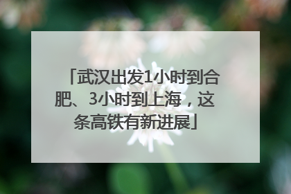 武汉出发1小时到合肥、3小时到上海，这条高铁有新进展