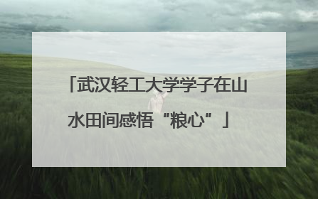 武汉轻工大学学子在山水田间感悟“粮心”