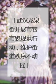 武汉龙泉街开展市容市貌规范行动，维护街道秩序不动摇