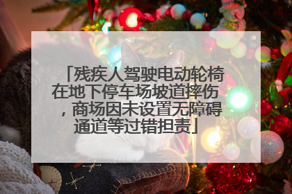 残疾人驾驶电动轮椅在地下停车场坡道摔伤，商场因未设置无障碍通道等过错担责