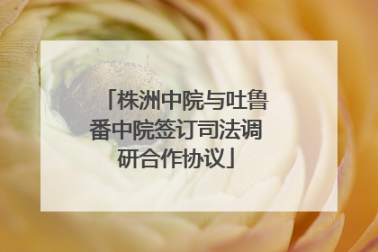 株洲中院与吐鲁番中院签订司法调研合作协议