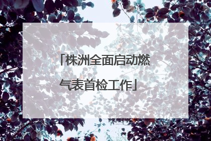 株洲全面启动燃气表首检工作