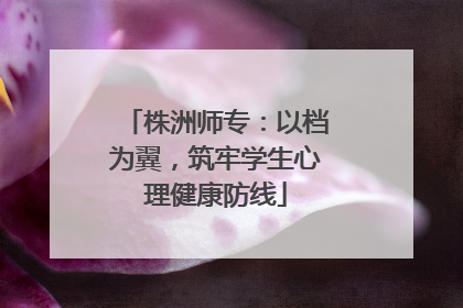 株洲师专：以档为翼，筑牢学生心理健康防线