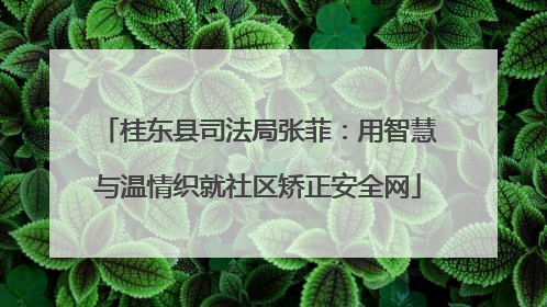 桂东县司法局张菲：用智慧与温情织就社区矫正安全网
