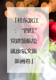 桂东沤江：“四红”党建领航绘就康氧文旅新画卷