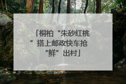 桐柏“朱砂红桃”搭上邮政快车抢“鲜”出村