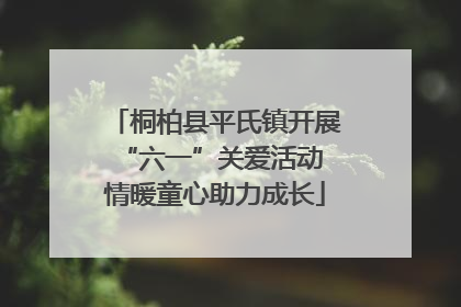 桐柏县平氏镇开展“六一”关爱活动 情暖童心助力成长
