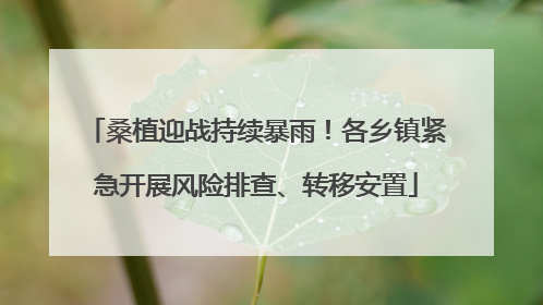 桑植迎战持续暴雨！各乡镇紧急开展风险排查、转移安置