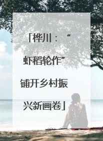 桦川：“虾稻轮作”铺开乡村振兴新画卷