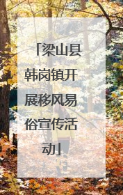 梁山县韩岗镇开展移风易俗宣传活动