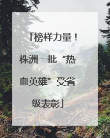 榜样力量！株洲一批“热血英雄”受省级表彰