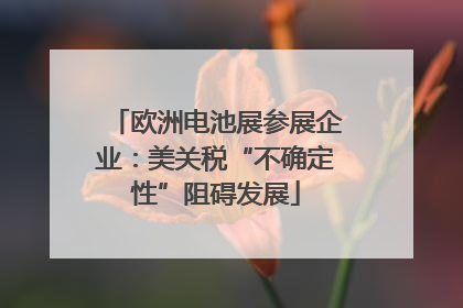 欧洲电池展参展企业：美关税“不确定性”阻碍发展