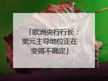 欧洲央行行长：美元主导地位正在变得不确定
