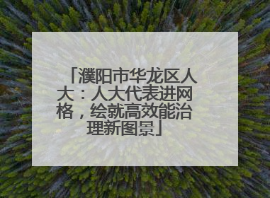 濮阳市华龙区人大：人大代表进网格，绘就高效能治理新图景