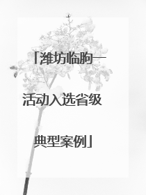 潍坊临朐一活动入选省级典型案例