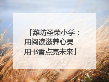 潍坊圣荣小学：用阅读滋养心灵 用书香点亮未来