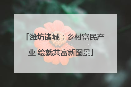 潍坊诸城：乡村富民产业 绘就共富新图景