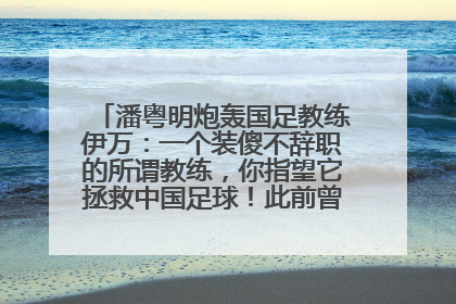 潘粤明炮轰国足教练伊万：一个装傻不辞职的所谓教练，你指望它拯救中国足球！此前曾多次发文评价国足