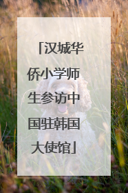 汉城华侨小学师生参访中国驻韩国大使馆