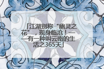 江湖别称“幽灵之花”，现身临沧！——有一种叫云南的生活之365天