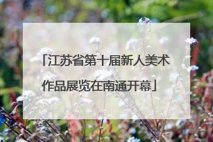 江苏省第十届新人美术作品展览在南通开幕