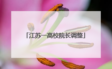 江苏一高校院长调整