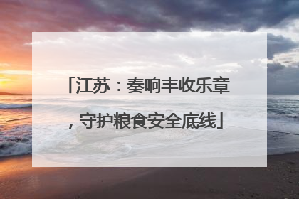江苏：奏响丰收乐章，守护粮食安全底线