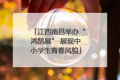 江西南昌举办“鸿鹄展” 展现中小学生青春风貌