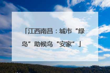 江西南昌：城市“绿岛”助候鸟“安家”