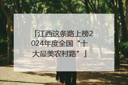 江西这条路上榜2024年度全国“十大最美农村路”
