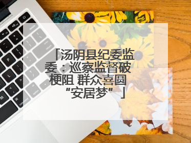 汤阴县纪委监委：巡察监督破梗阻 群众喜圆“安居梦”