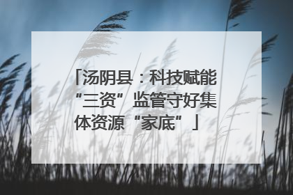汤阴县：科技赋能“三资”监管守好集体资源“家底”