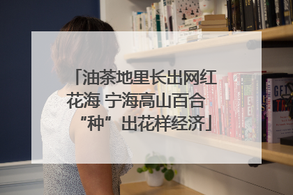 油茶地里长出网红花海 宁海高山百合“种”出花样经济
