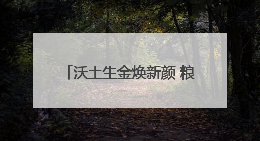 沃土生金焕新颜 粮烟融合绘“丰”景