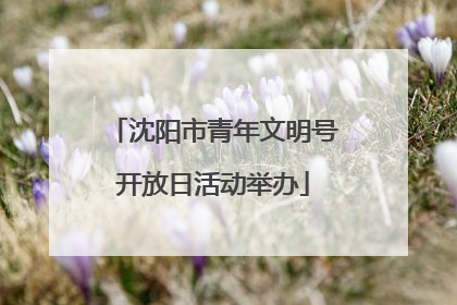 沈阳市青年文明号开放日活动举办