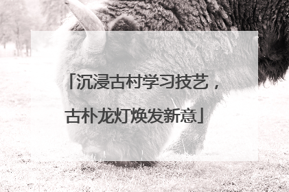 沉浸古村学习技艺，古朴龙灯焕发新意
