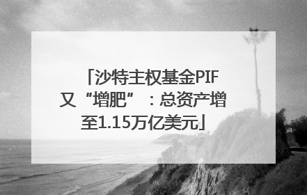 沙特主权基金PIF又“增肥”：总资产增至1.15万亿美元