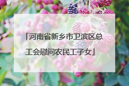 河南省新乡市卫滨区总工会慰问农民工子女