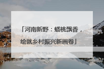 河南新野：蟠桃飘香，绘就乡村振兴新画卷