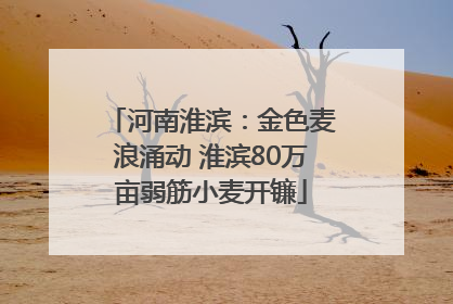 河南淮滨:金色麦浪涌动 淮滨80万亩弱筋小麦开镰