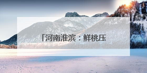 河南淮滨：鲜桃压枝香 采摘正当时