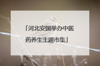 河北安国举办中医药养生主题市集
