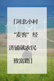 河北小村“麦客”经济铺就农民致富路