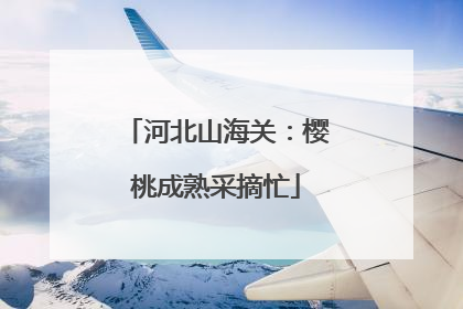 河北山海关：樱桃成熟采摘忙