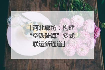 河北廊坊：构建“空铁陆海”多式联运新通道