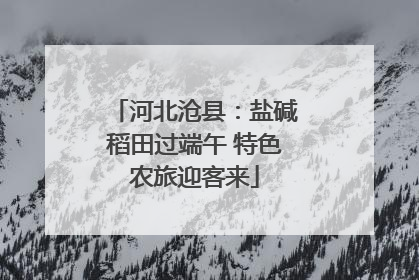 河北沧县：盐碱稻田过端午 特色农旅迎客来