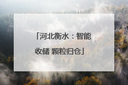 河北衡水：智能收储 颗粒归仓