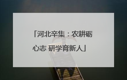 河北辛集：农耕砺心志 研学育新人